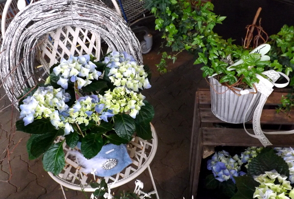 Gartendekoration / blaue Hortensien